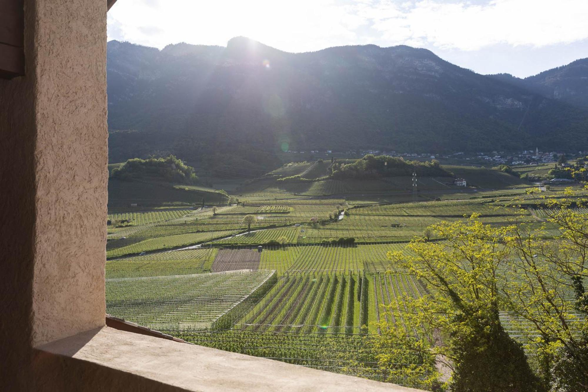 Ansitz Battisti Suites (Adults Only) Caldaro Exterior photo